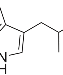 amt powder