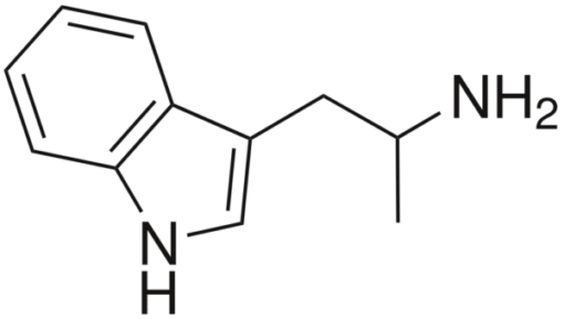 amt powder